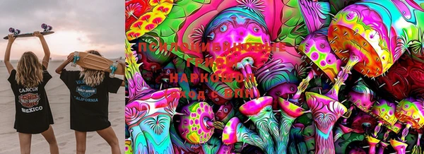 mdma Верея